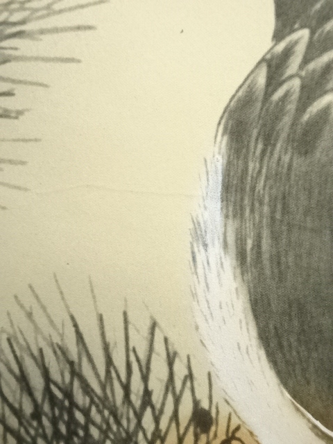 道具 ] - 道具 秀峰筆 富士鷹 肉筆絹本掛軸（共箱） | ネットショップ